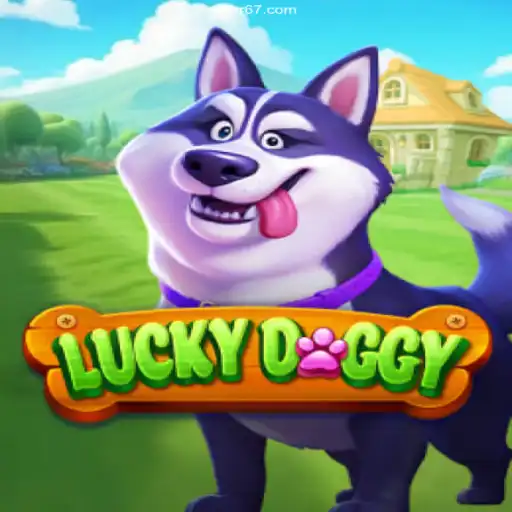 Exploring the Thrills of LuckyDoggy: A Go-To Experience on 67rr.com